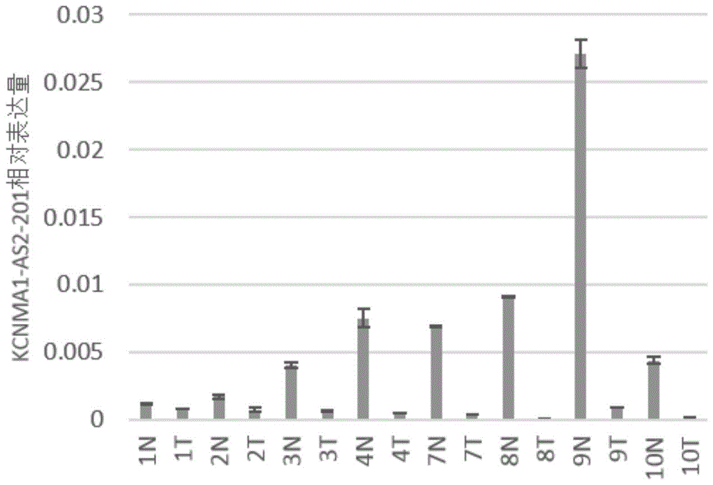 一種lncRNA標(biāo)志物在制備結(jié)直腸癌早期診斷產(chǎn)品中的應(yīng)用、檢測引物、試劑盒