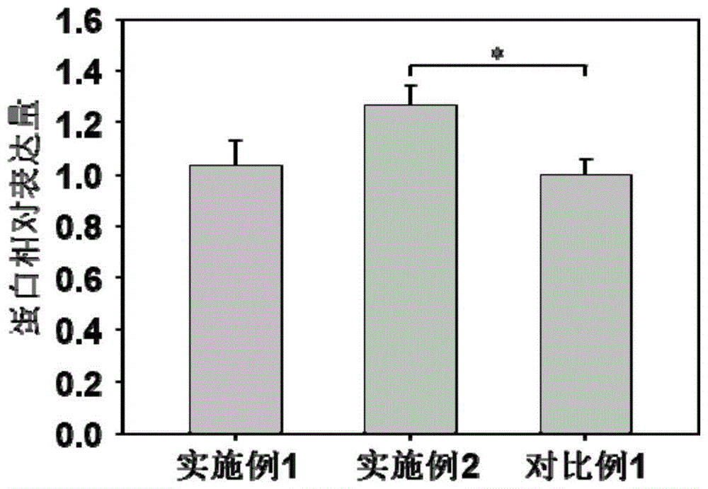 一種無(wú)血清無(wú)蛋白CHO細(xì)胞培養(yǎng)基及其制備方法、應(yīng)用