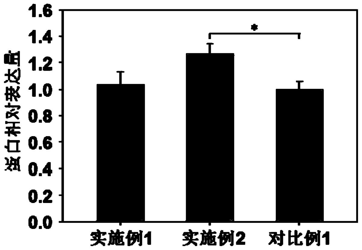 一種無血清無蛋白CHO細(xì)胞培養(yǎng)基及其制備方法、應(yīng)用