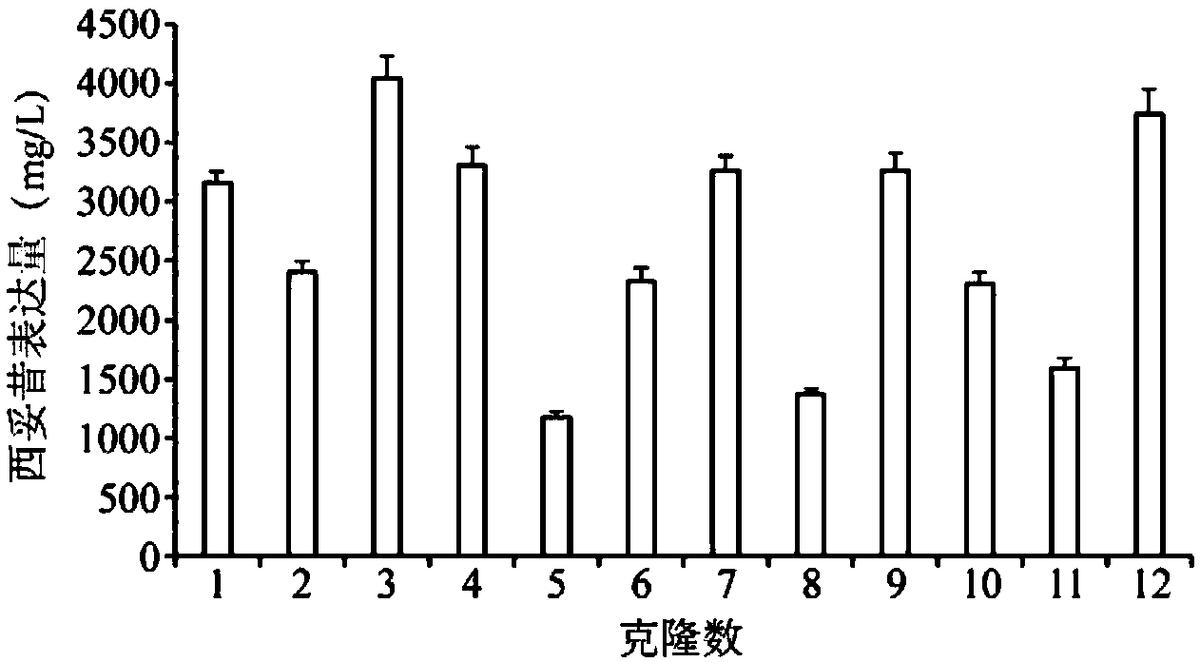 一種人工合成的MAR共有序列、表達(dá)載體、表達(dá)系統(tǒng)及其應(yīng)用