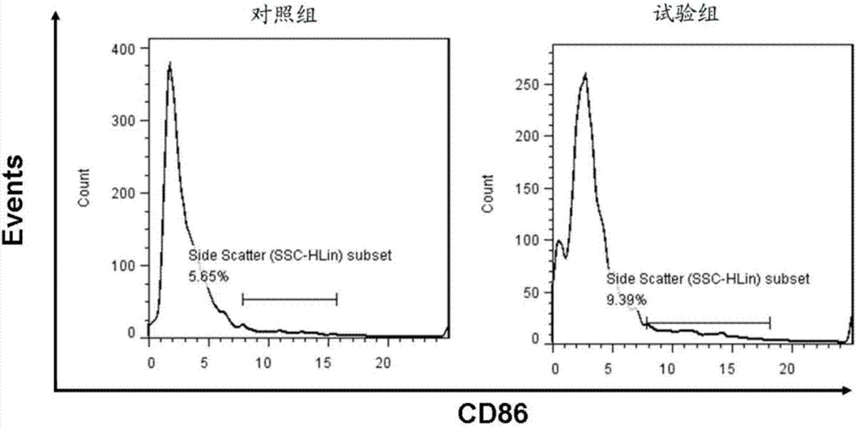 一種新型CpG ODN序列及其在抗黑色素瘤上的應(yīng)用