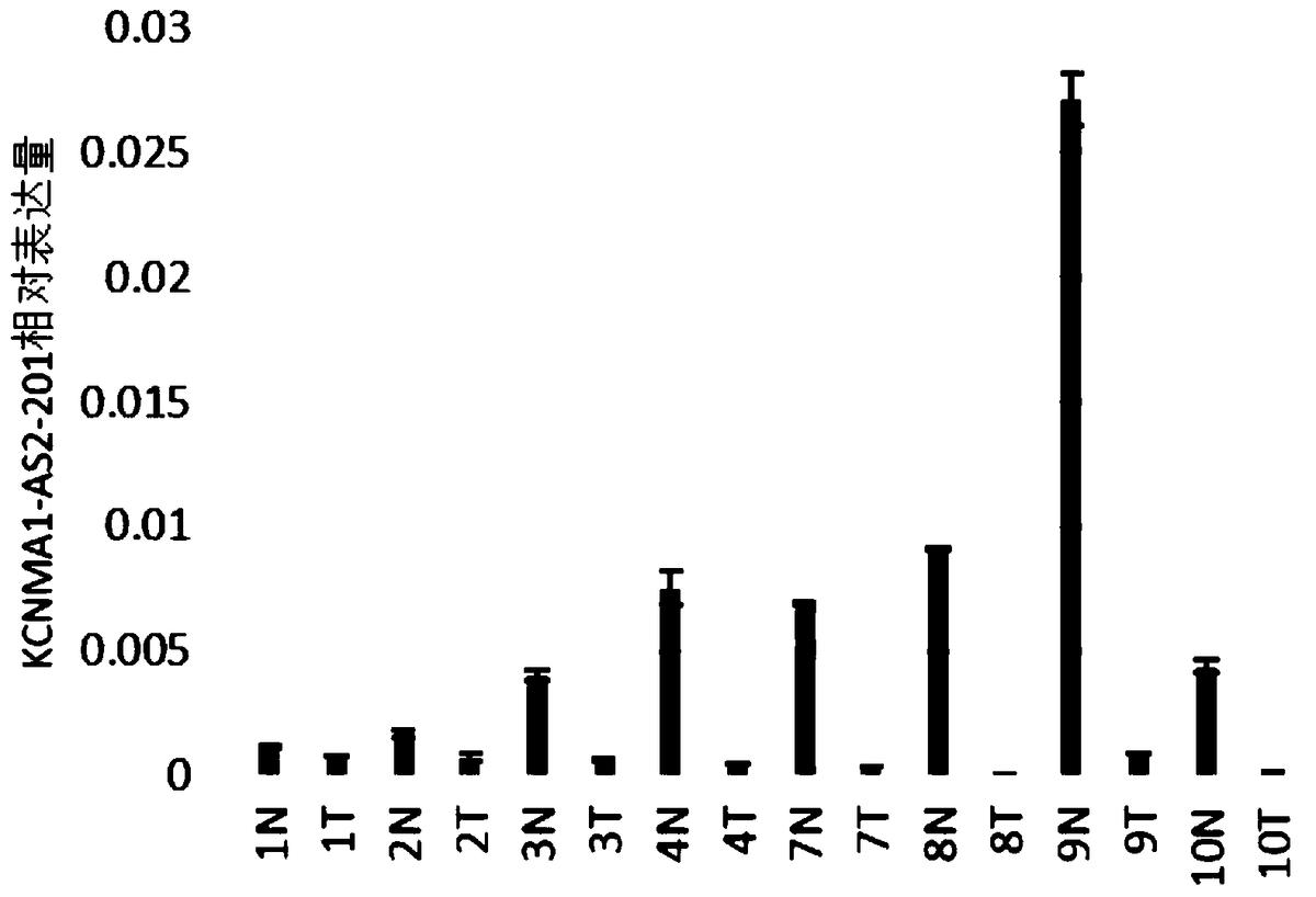 本發(fā)明涉及一種lncRNA標志物在制備結(jié)直腸癌早期診斷產(chǎn)品中的應用、檢測引物、試劑盒，屬于基因工程及腫瘤學領(lǐng)域。本發(fā)明的lncRNA標志物在制備結(jié)直腸癌早期診斷產(chǎn)品中的應用，所述lncRNA標志物為KCNMA1?AS2?201，具有如SEQ ID NO.3所示的核苷酸序列。本發(fā)明的lncRNA標志物在制備結(jié)直腸癌早期診斷產(chǎn)品中的應用，利用該標志物在結(jié)直腸癌組織中呈特異性低表達，而在正常組織中沒有這