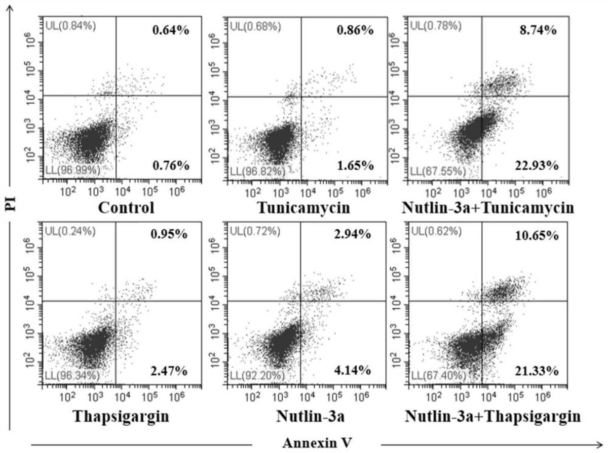 MDM2抑制劑Nutlin-3a在制備激活內(nèi)質(zhì)網(wǎng)應激誘導的癌細胞凋亡藥物中的應用