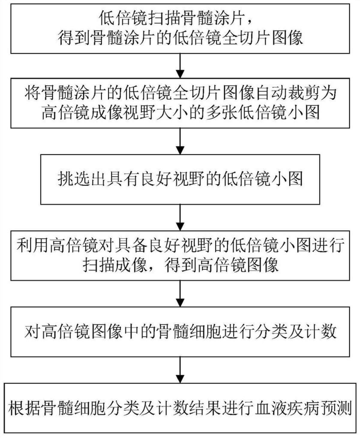 一種基于深度學(xué)習(xí)的骨髓細(xì)胞分類識別方法、裝置及系統(tǒng)
