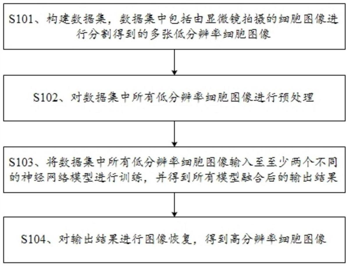 一種超分辨率的細(xì)胞圖像構(gòu)建方法和系統(tǒng)